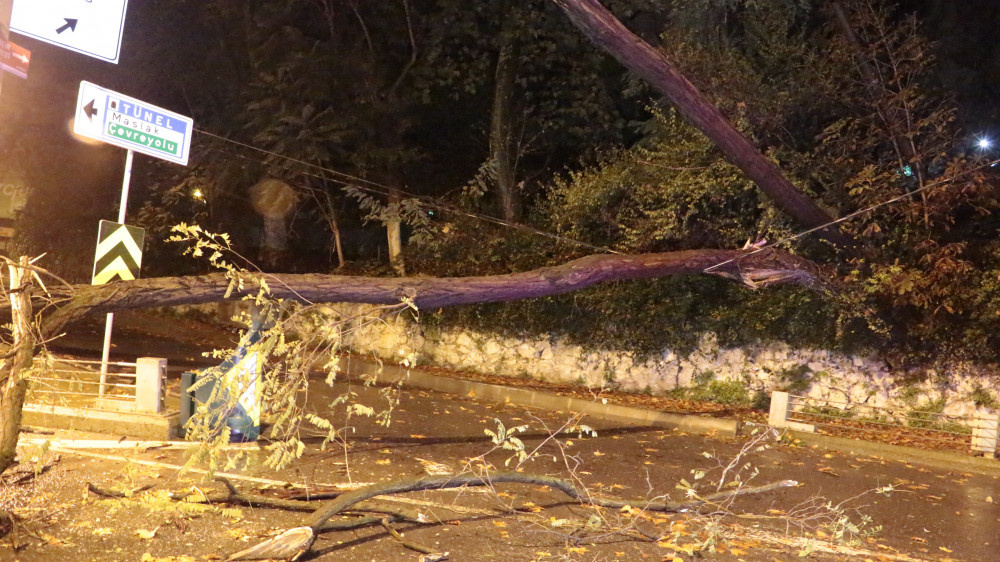 İstanbul'un göbeğinde ağaç devrildi, yol trafiğe kapandı