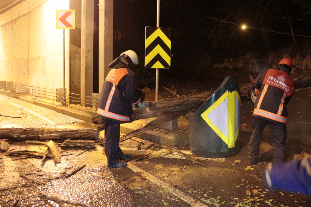 İstanbul'un göbeğinde ağaç devrildi, yol trafiğe kapandı