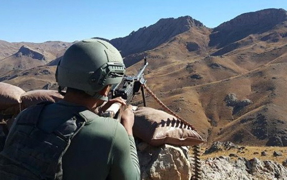Cudi Dağı'nda 18 PKK'lı teröristi 'eşek arısı' öldürdü