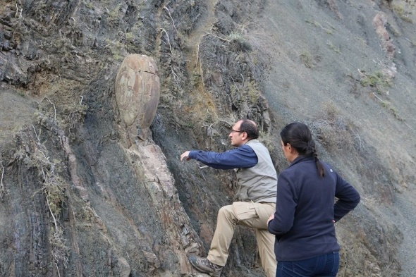 Erzurum'da 70 yıllık kaya Kaya Salyangozu görenleri hayrete düşürdü