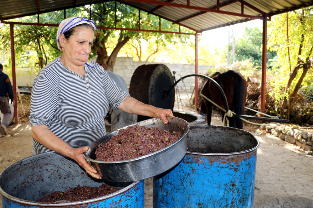 Doğal zeytinyağı nasıl yapılır taş değirmende zeytinlerin ezilmesiyle...