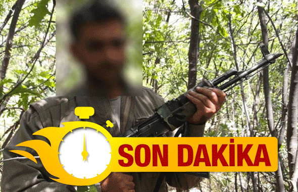 Diyarbakır'a eyleme gelmişti sağ olarak yakalandı