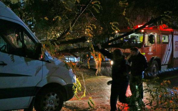 İstanbul'u fırtına ve yağış vurdu! Ağaç minibüsün üzerine devrildi
