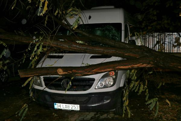 İstanbul'u fırtına ve yağış vurdu! Ağaç minibüsün üzerine devrildi