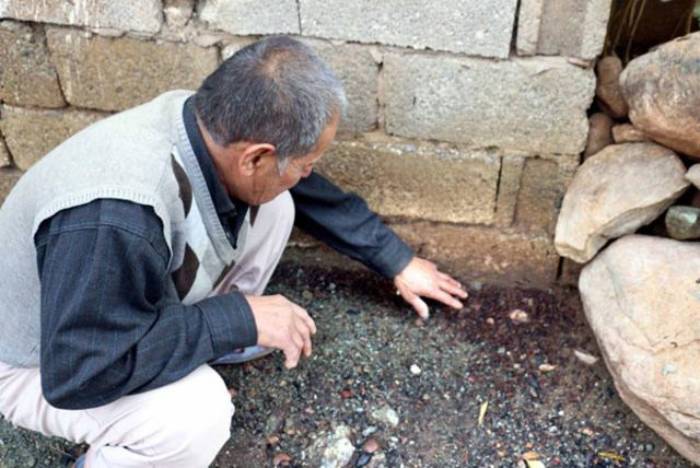 10 gün önce Hatay'da ortaya çıktı! Evleri istila etti, halk tedirgin...