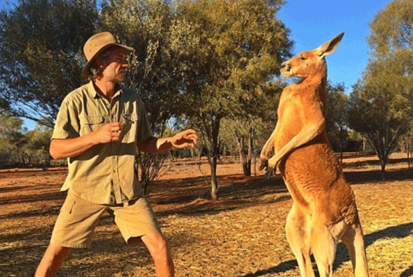 Kasları ile efsane kangurudan kötü haber