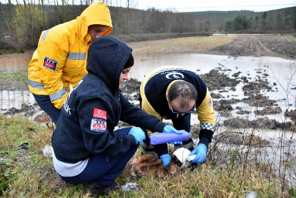 Cani sürücü ölüme terk etti: 112 ekibi ve askerler seferber oldu!