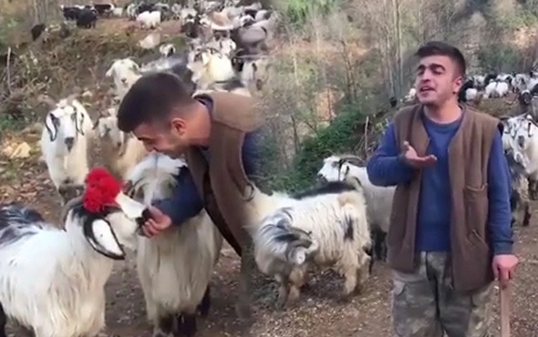 Rizeli çobandan muhteşem Karadeniz türküsü