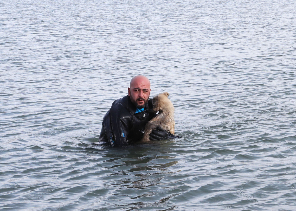 Göldeki köpek yavrusunu buzları kırarak kurtardı