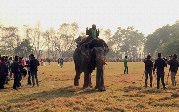 Nepal'de fil festivali: 15'incisi düzenleniyor!