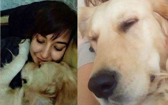 Sahiplerinin arasında kalan köpek mahkemelik oldu dava ertelendi