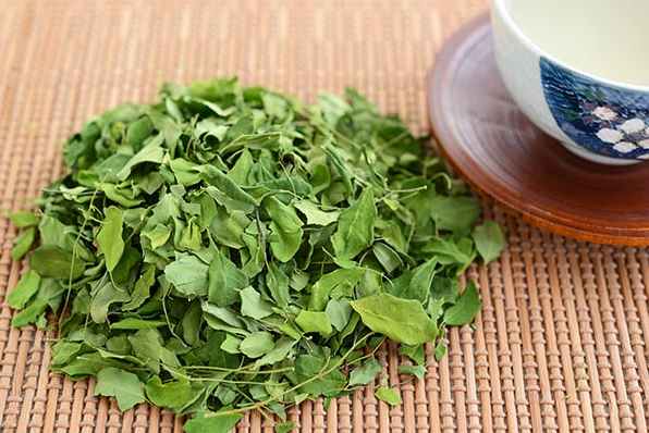 Moringa çayının faydaları nelerdir içenler şifa depoluyor 