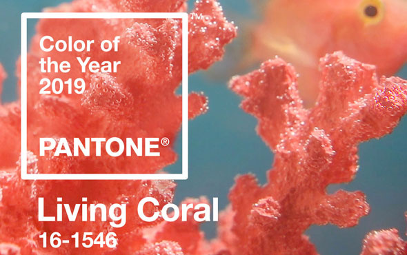 2019 yılının en moda olacak rengi tanıtıldı: Canlı Mercan