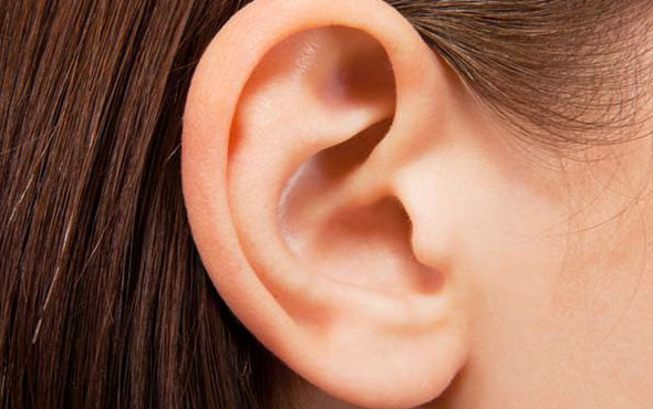 Kulak Burun Boğaz hangi hastalıklara bakar KBB tam liste