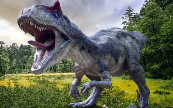 Afrika'da otobüs uzunluğunda dinozor bulundu