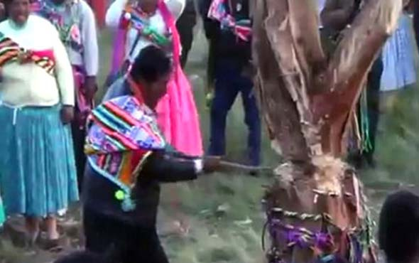 Festivalde üzerine ağaç devrilen adam öldü, eğlence durmadan devam etti