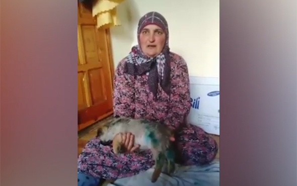 Vicdansızlar yavru köpeği kaynar suyla yaktılar!