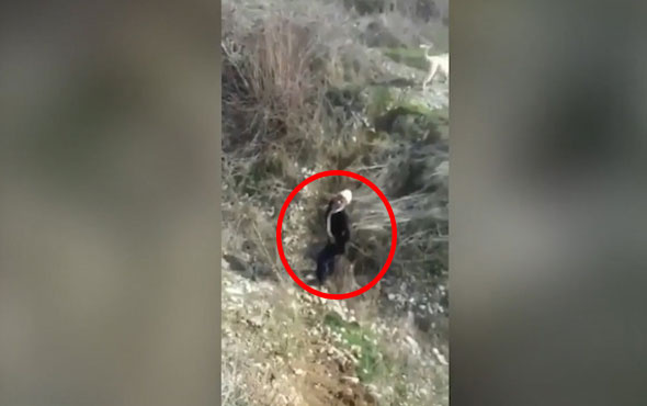 Kayseri'de köpeğe tecavüz görüntüleri! Yeni kayıt şok etti