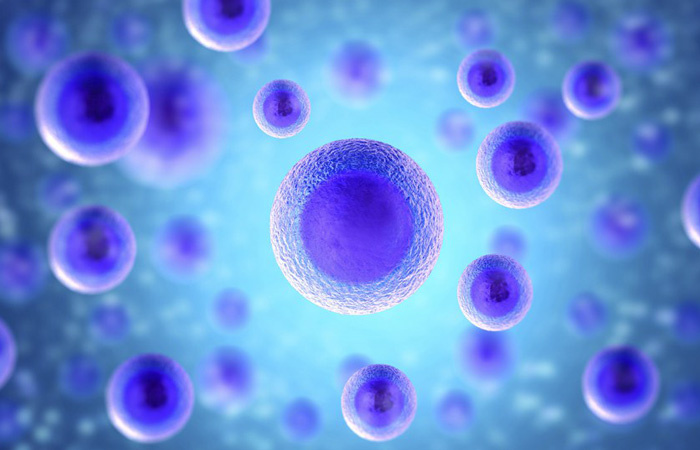 Kök hücre nedir ne işe yarar kök hücre tedavisi nasıl yapılır? 