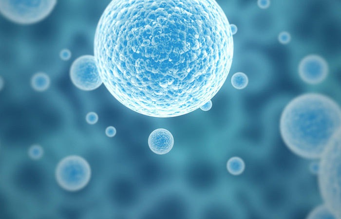 Kök hücre nedir ne işe yarar kök hücre tedavisi nasıl yapılır? 