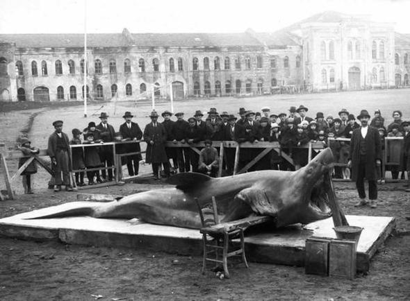 İstanbul 100 yıl önce böyleydi o ülkeden çıktı!