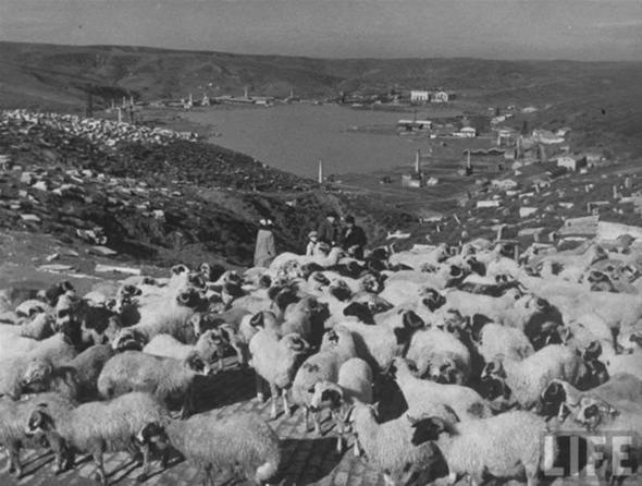 İstanbul 100 yıl önce böyleydi o ülkeden çıktı!