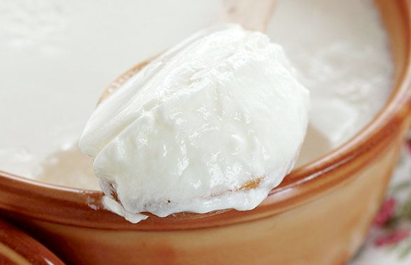 Evde yoğurt mayalama nasıl yapılır? Taş gibi kıvamlı yoğurt için...