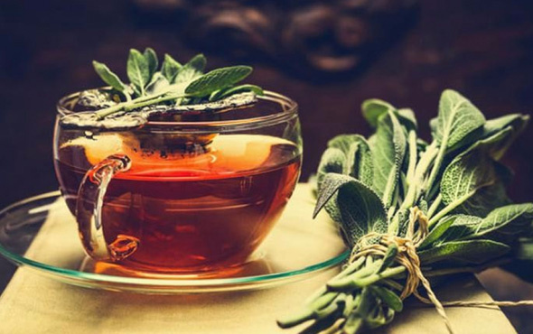 Bitki çaylarının faydaları! Zencefil ve Nane Çayı bakın neye iyi geliyor?