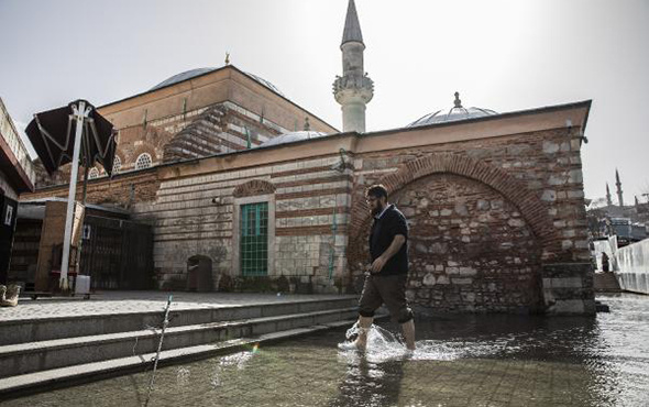 İstanbul'da akıl almaz görüntü: Tarihi camiyi denizanaları bastı!