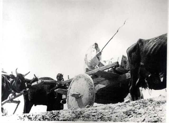 Kurtuluş Savaşı'nın kadın kahramanları