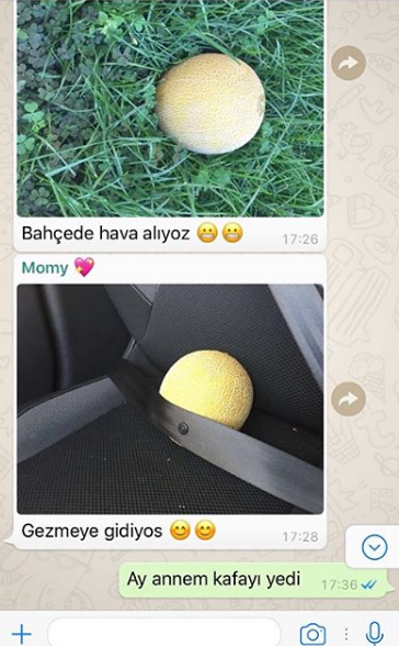 Sonunda bu da oldu bir aile kavun evlatlık aldı bakın neler oldu