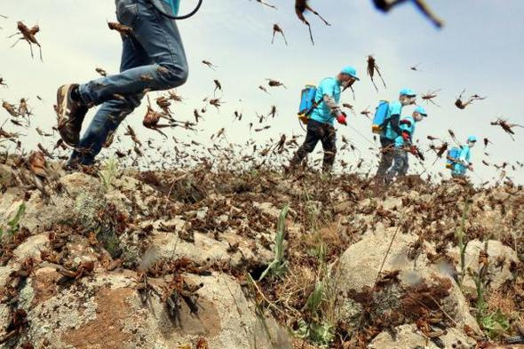 Şanlıurfa'da ekipleri şoke eden görüntü! Anında önlem alındı