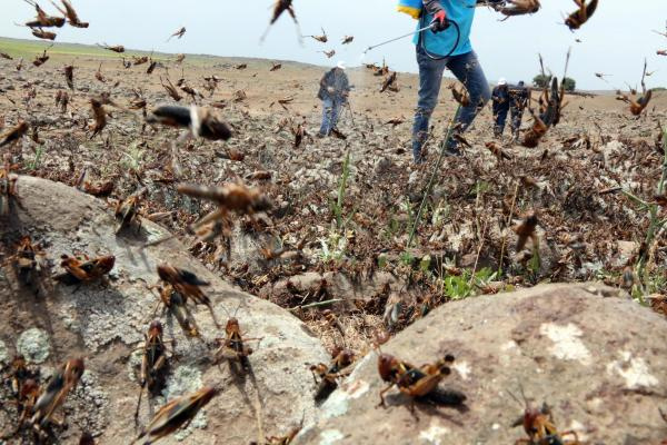 Şanlıurfa'da ekipleri şoke eden görüntü! Anında önlem alındı