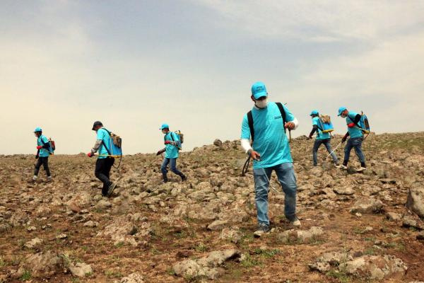 Şanlıurfa'da ekipleri şoke eden görüntü! Anında önlem alındı