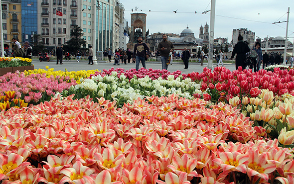 İBB Taksim Meydanı'nı lalelerle süsledi