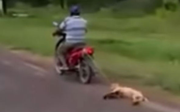 Dehşete düşüren görüntü! Köpeği motosikletin arkasına bağlayıp sürükledi