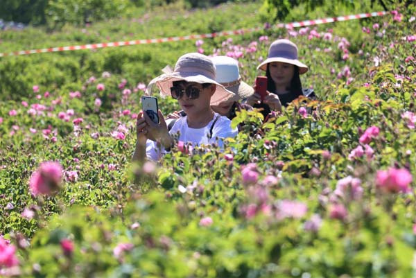 Yabancı turistler Isparta'ya akın ediyor!