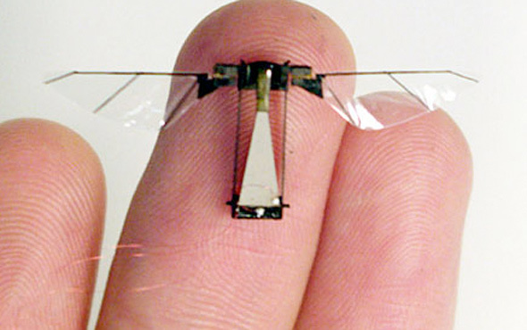 Kürdan ağırlığında robot böcek üretildi