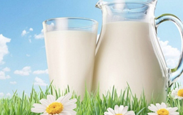 21 Mayıs'ta ne oldu Dünya Süt Günü nedir önemi-tarihi