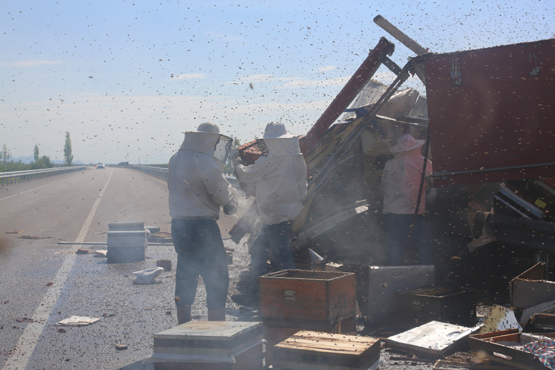 Bayburt'ta arı kovanı yüklü tır devrilince