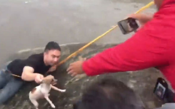 Muhabir sel sularındaki köpeği  böyle kurtardı