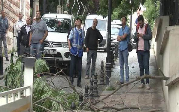 İstanbul'da sağanak yağmur caminin üstüne ağaç devirdi