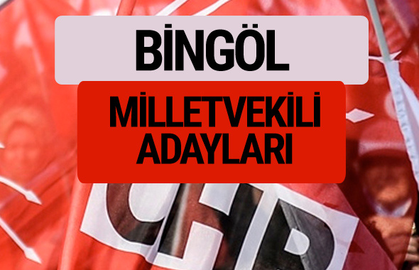 CHP Bingöl milletvekili adayları isimleri YSK kesin listesi