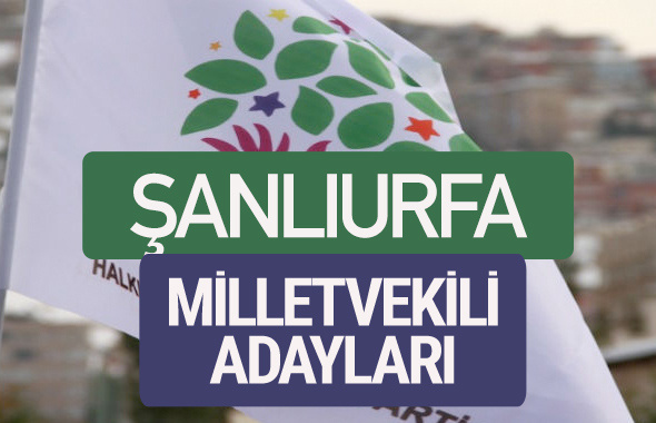 HDP Şanlıurfa milletvekili adayları 2018 YSK isim listesi