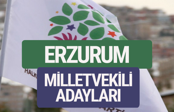 HDP Erzurum milletvekili adayları 2018 YSK isim listesi