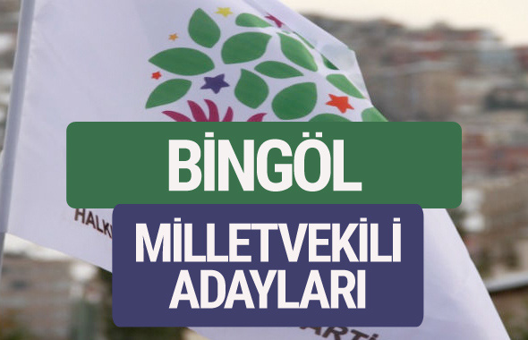HDP Bingöl milletvekili adayları 2018 YSK isim listesi