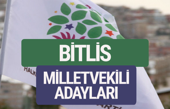 HDP Bitlis milletvekili adayları 2018 YSK isim listesi
