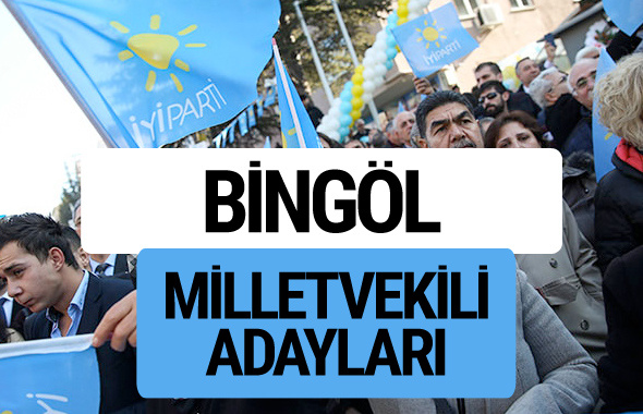 Bingöl İyi Parti milletvekili adayları YSK kesin isim listesi