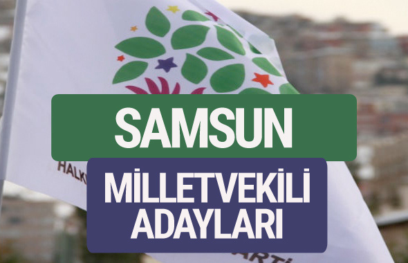 HDP Samsun milletvekili adayları 2018 YSK isim listesi