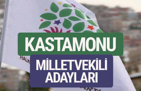 HDP Kastamonu milletvekili adayları 2018 YSK isim listesi